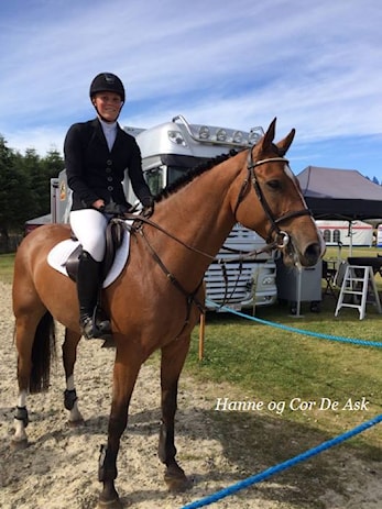 Bækgaarden Horse Festival 04-09 juli 2017